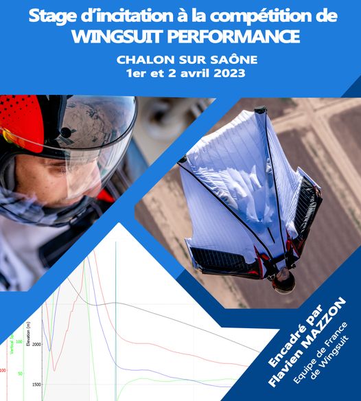 Wingsuit Performance Comp