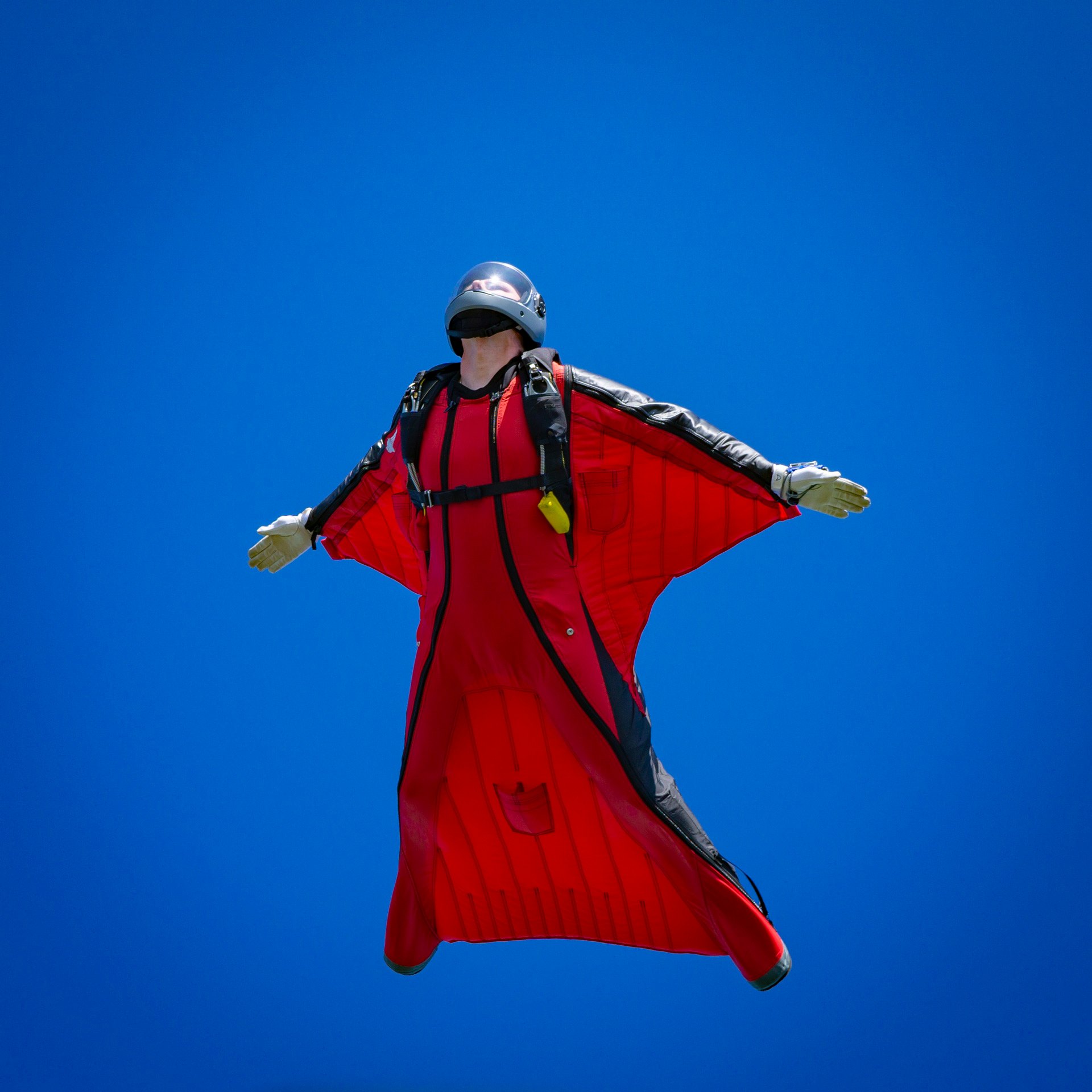 wingsuit FFC wings spread in full flight